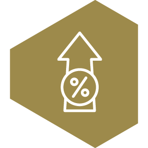 Setup icon