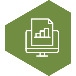 Setup icon