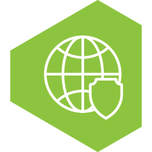 Setup icon