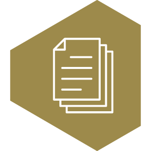 Setup icon