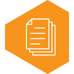 Setup icon