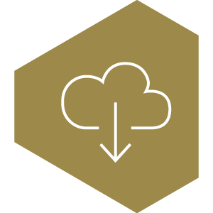 Setup icon