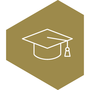 Setup icon