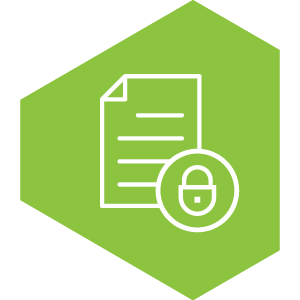Setup icon