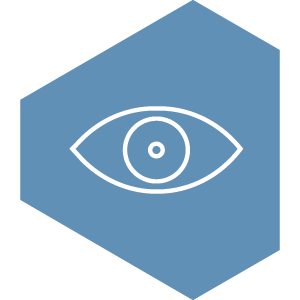 Setup icon